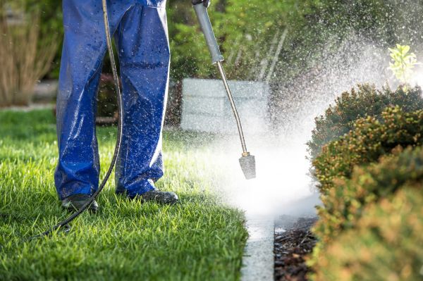 Curb Cleaning in Orange
