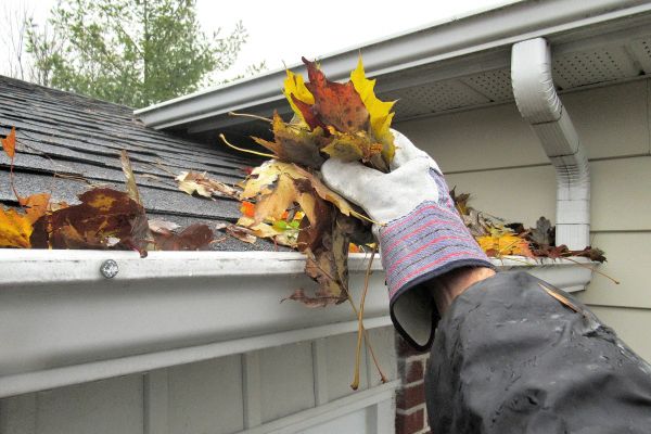 Eaves Cleaning in Orange
